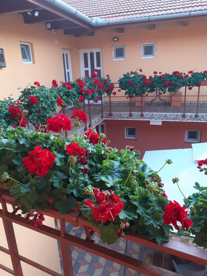 Hotel Casa Leucian Deva Exterior foto