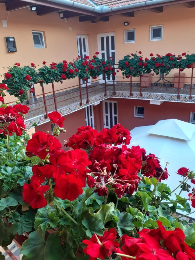 Hotel Casa Leucian Deva Exterior foto